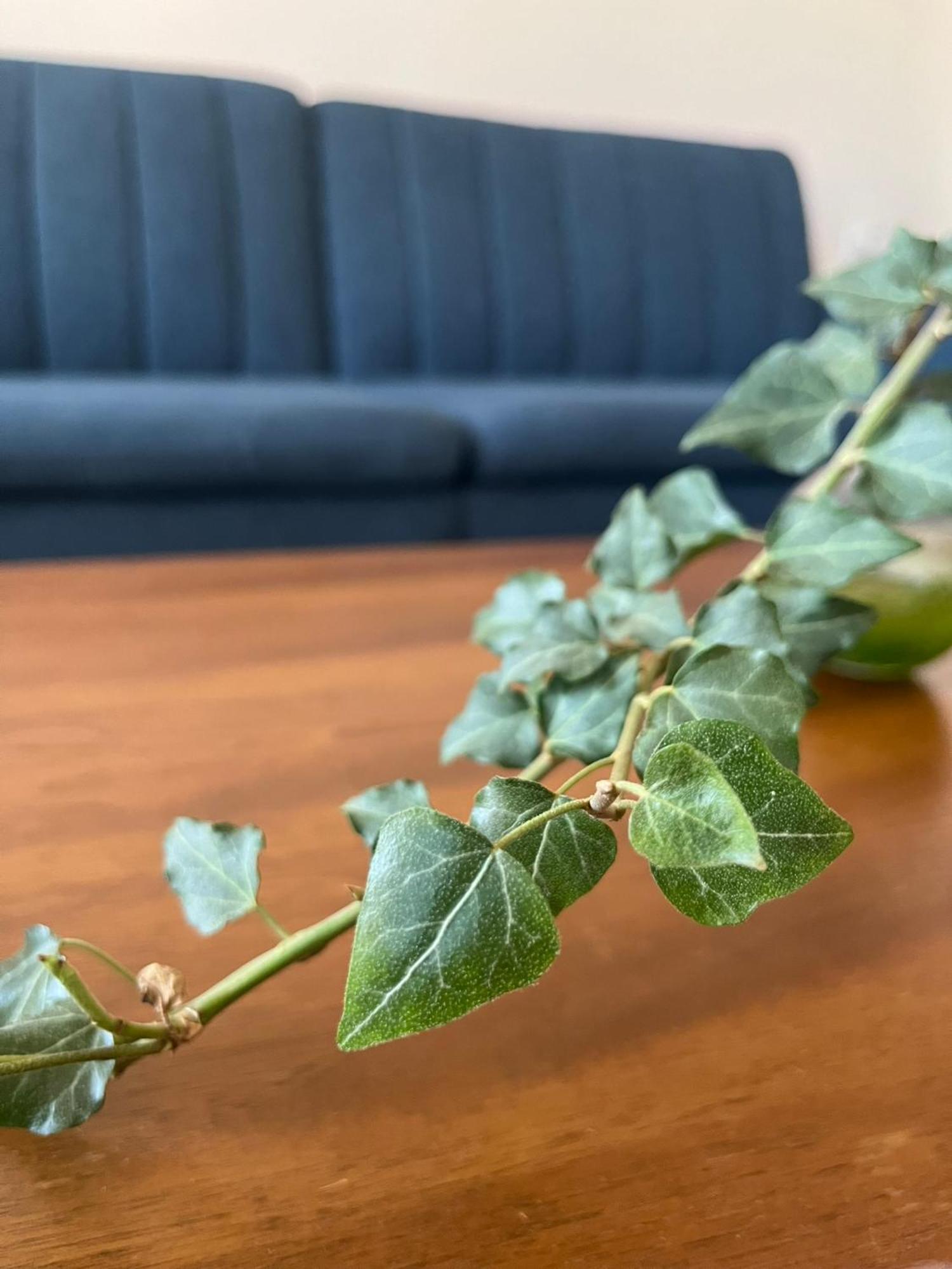 Mz Apartment Néa Péramos Zewnętrze zdjęcie